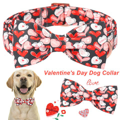 Aring PET collar con hebilla plástica ajustable para colocar y quitar fácilmente