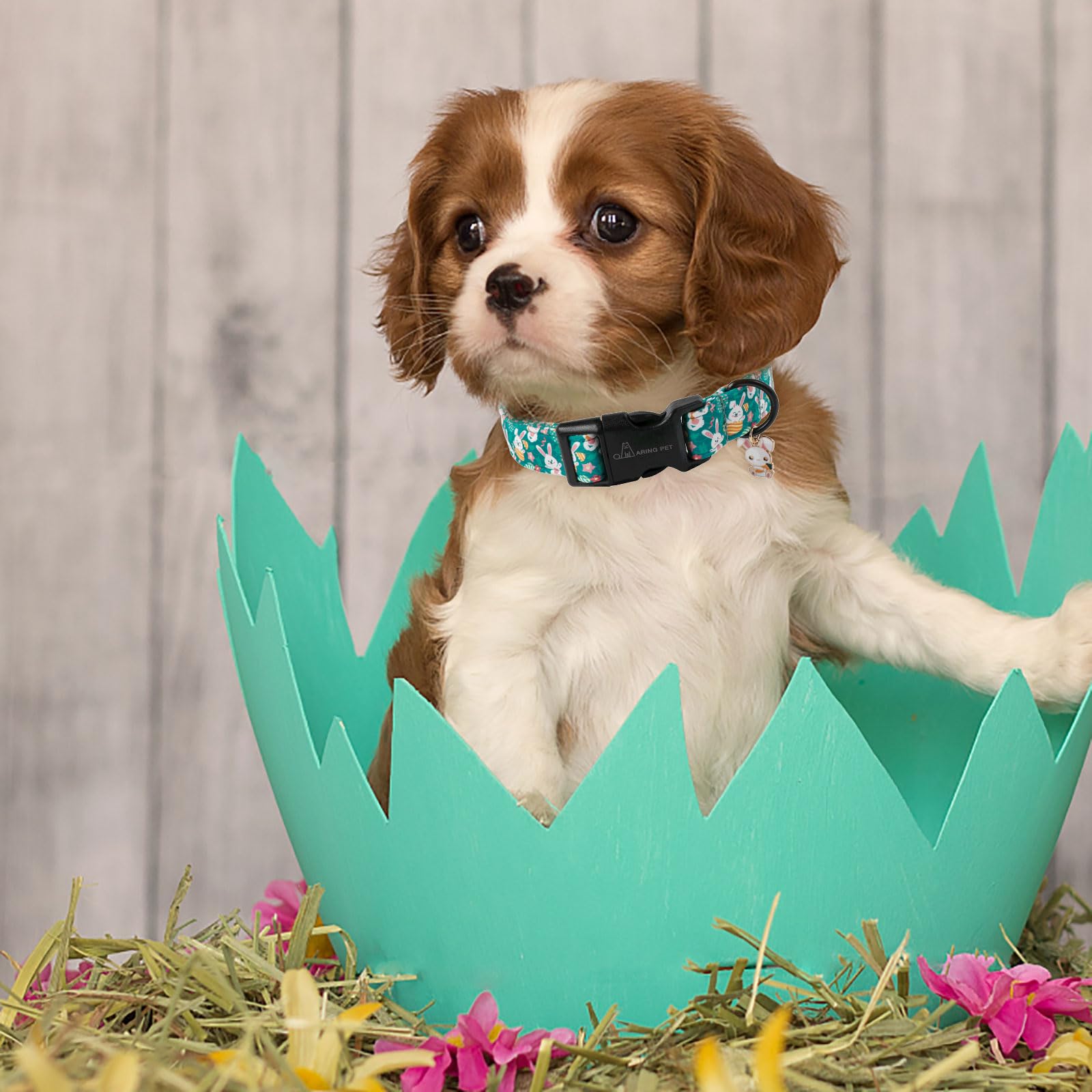Fácil limpieza del collar ARING PET, lavado a mano recomendado