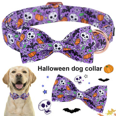 Aring pet collar margaritas moradas: cómodo y fácil de limpiar para paseos