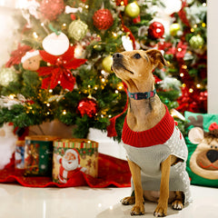Aring collar navidad diseño folclórico, ideal para sesiones de fotos.
