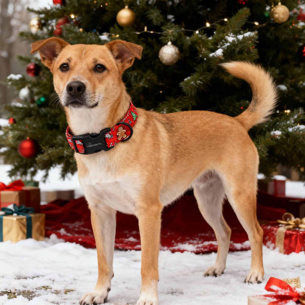 Aring Pet collar navidad perro usando collar rojo: perfecto para paseos y celebraciones.