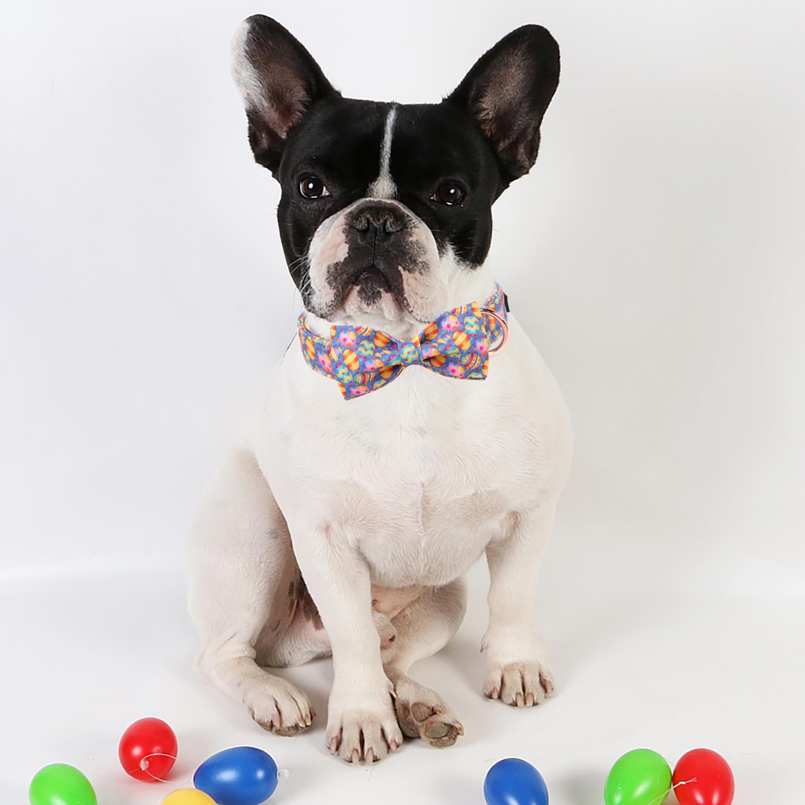 Collar con lazo para sesiones de fotos o celebraciones, marca Aring Pet