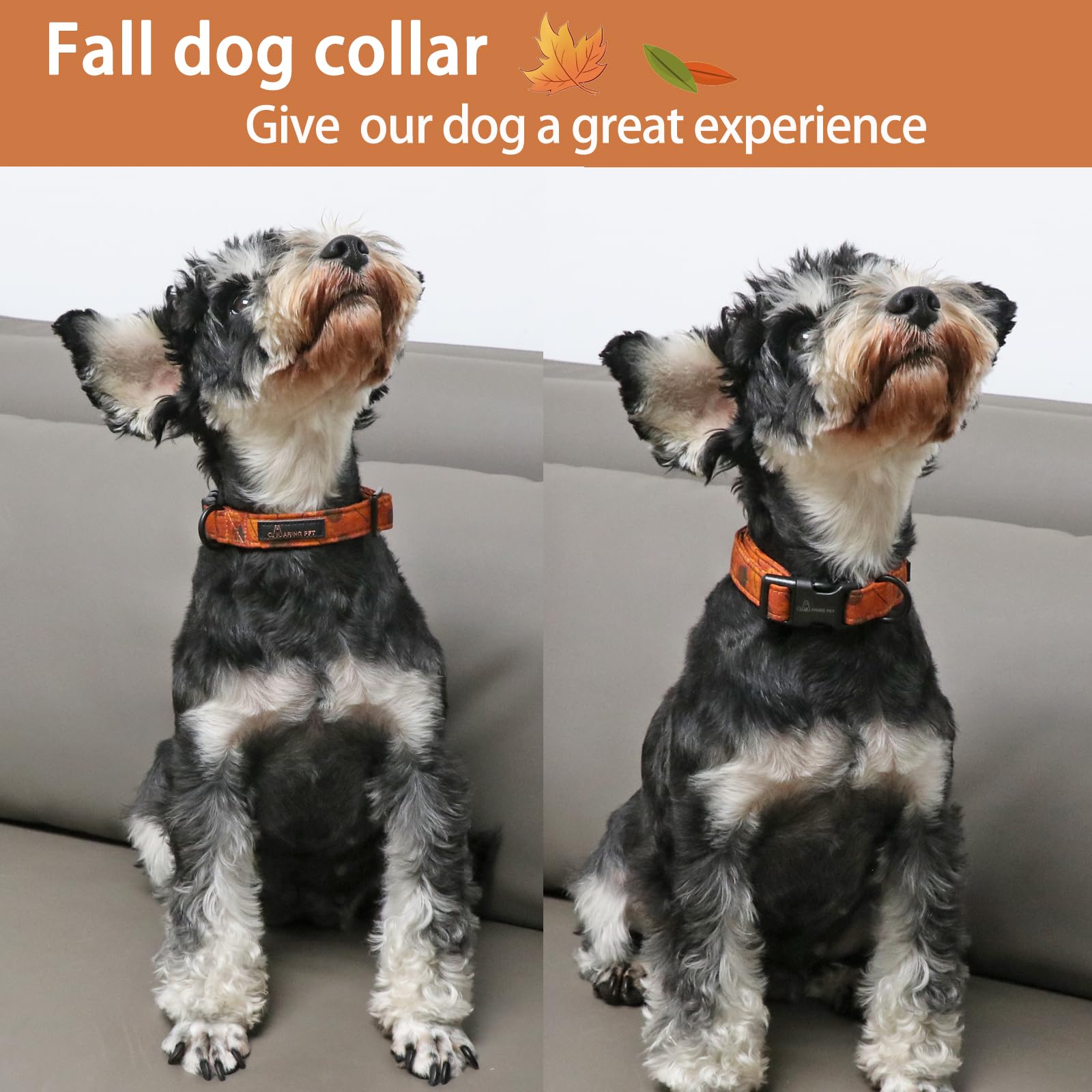 Collar ARING PET de algodón ligero naranja, ideal para paseos diarios.