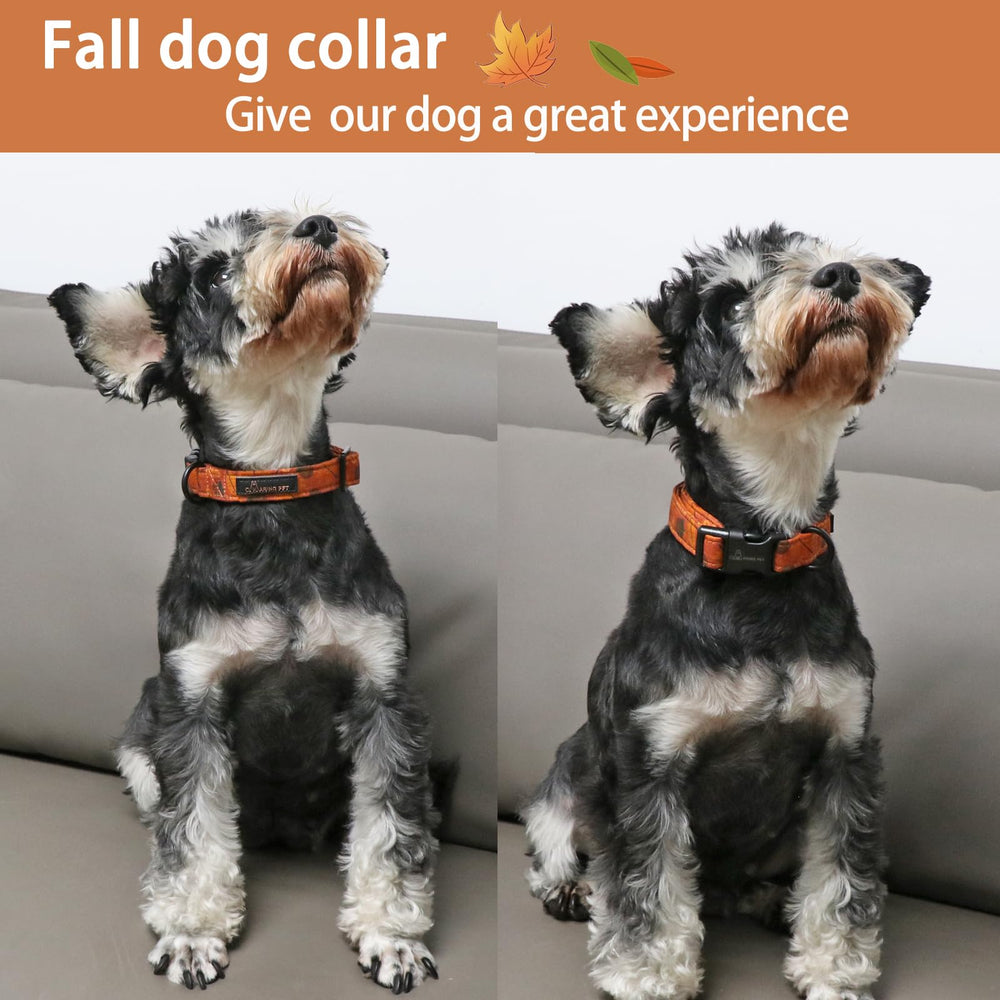 Collar ARING PET de algodón ligero naranja, ideal para paseos diarios.