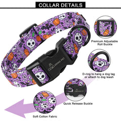 Collar Aring Pet con anilla en D para etiqueta y correa.