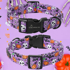 Collar Aring Pet con cierre rápido, fácil de colocar y quitar.