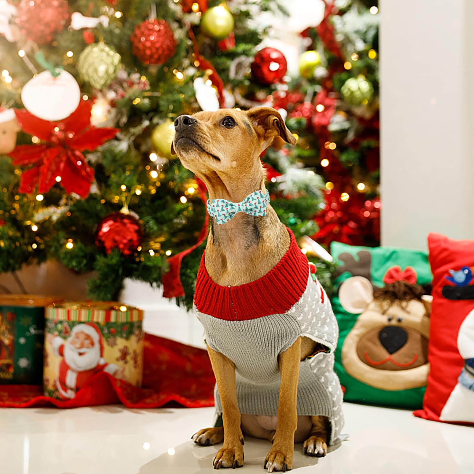Aring Pet collar para perro en fiestas, estiloso y seguro.