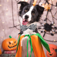 Diseño en negro y blanco con motivos Halloween para perros.