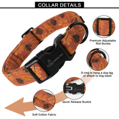 Collar ARING PET con hebilla de liberación rápida en naranja, fácil de colocar.