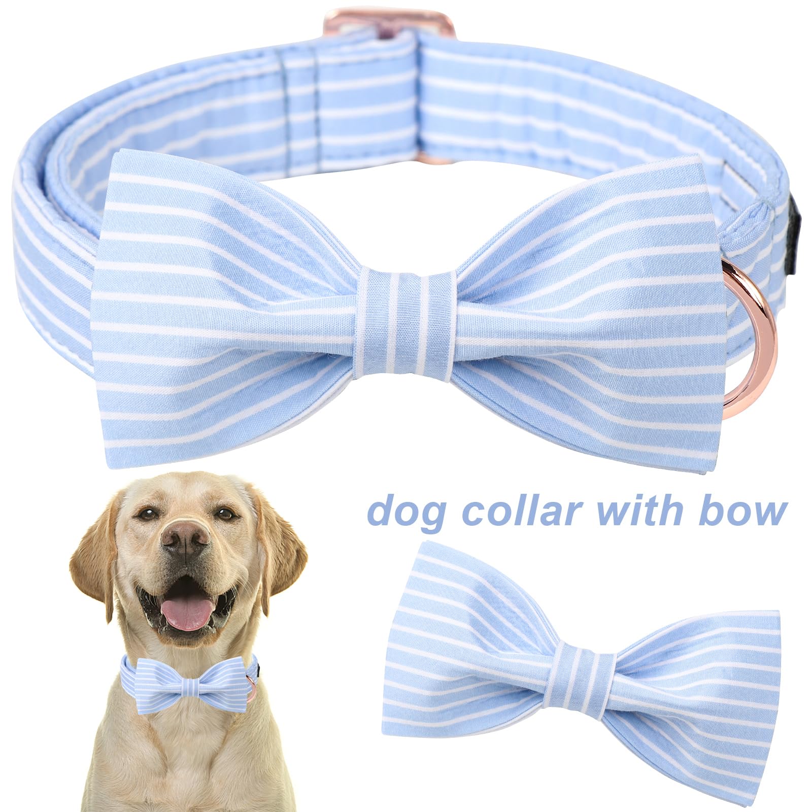 Aring Pet, lazo-pajarita azul para eventos y fotos.