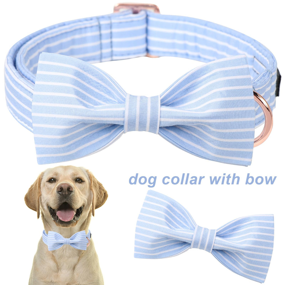Aring Pet, lazo-pajarita azul para eventos y fotos.