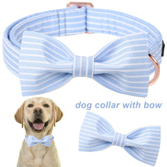 Aring Pet, lazo-pajarita azul para eventos y fotos.