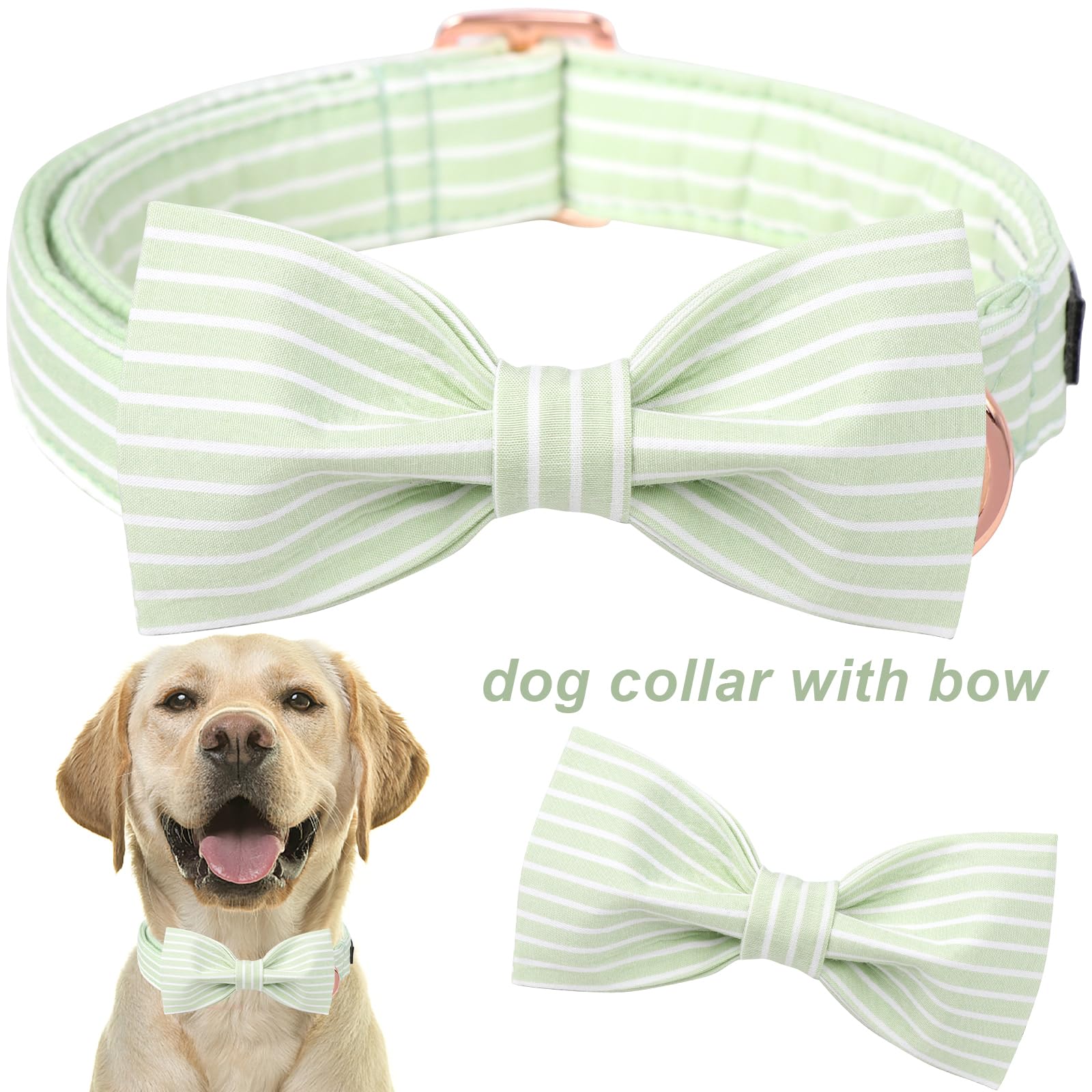 Collar Aring pet con lazo verde y rayas, ideal para sesiones de fotos.