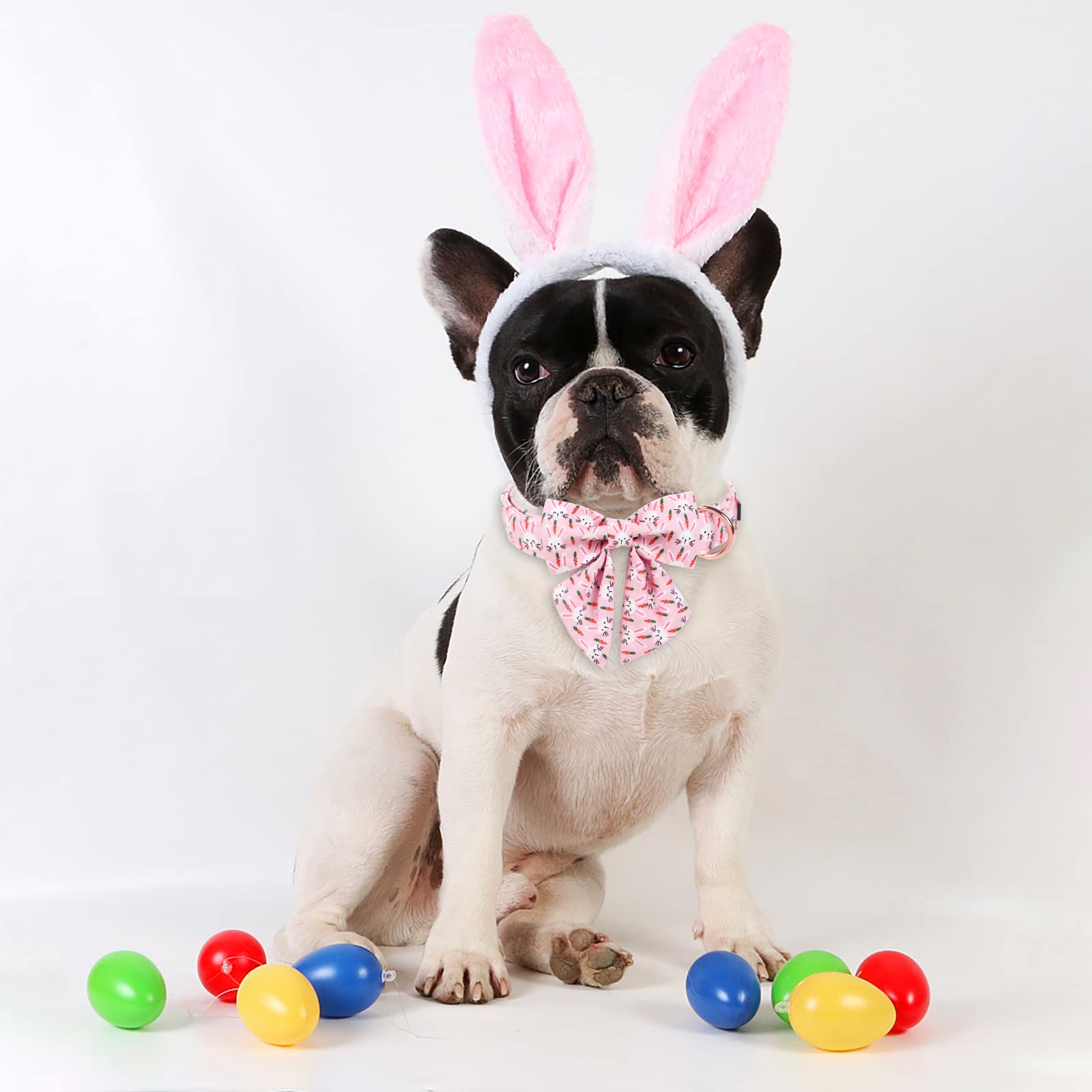 Collar ARING PET con ajuste talla grande, perfecto para perros de mayor tamaño.