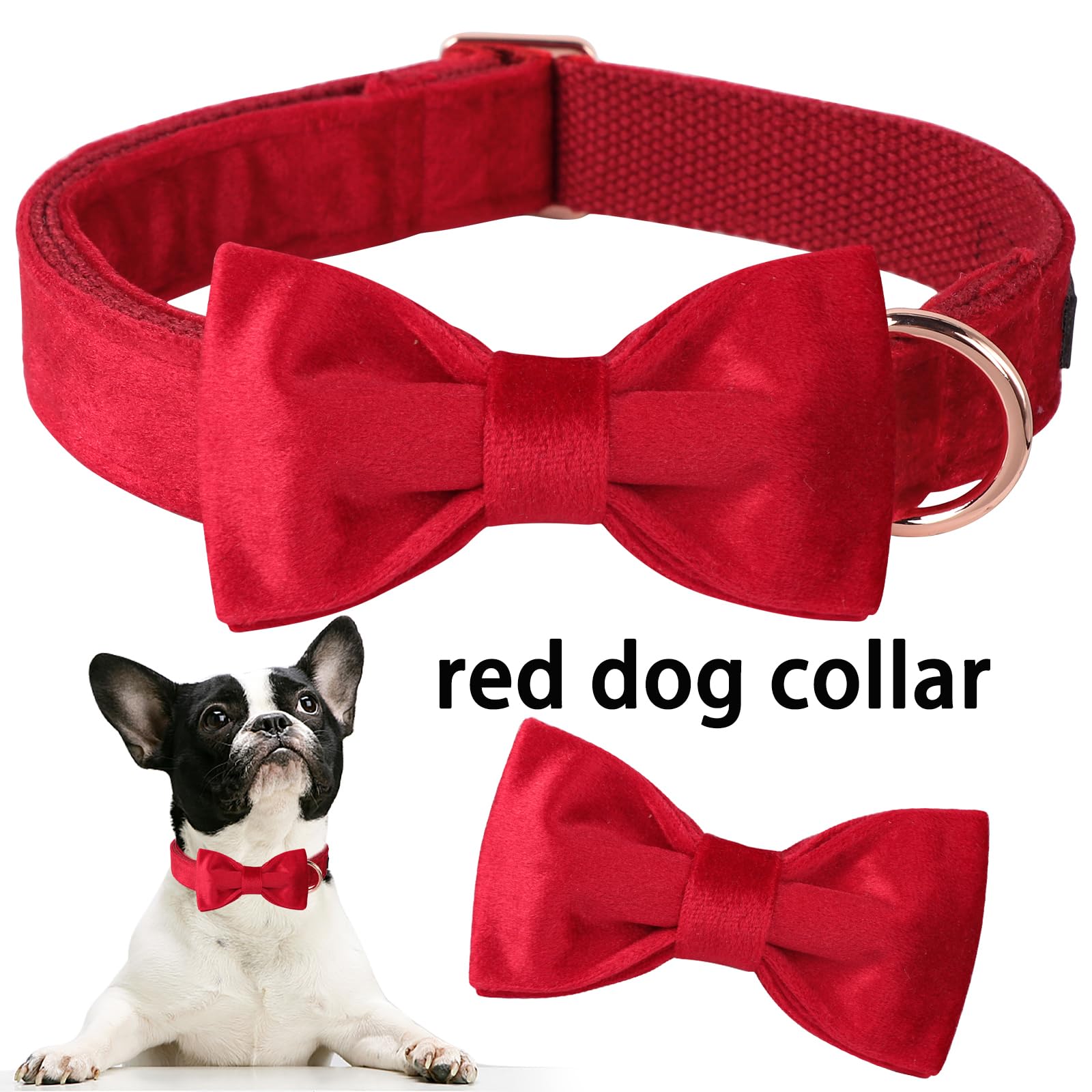 Collar Aring Pet en terciopelo suave para comodidad diaria.