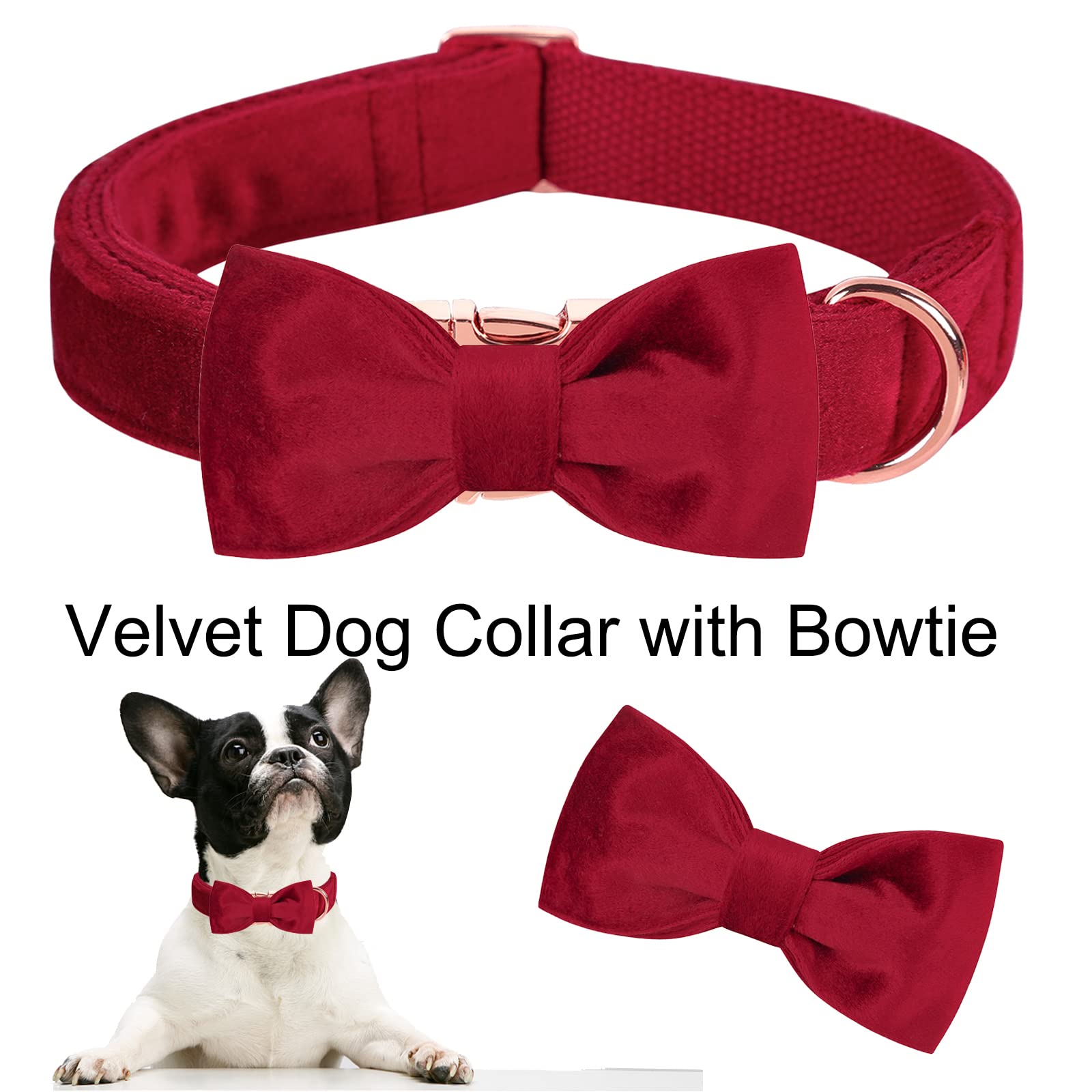 Collar Aring Pet presentado en elegante empaque de regalo.