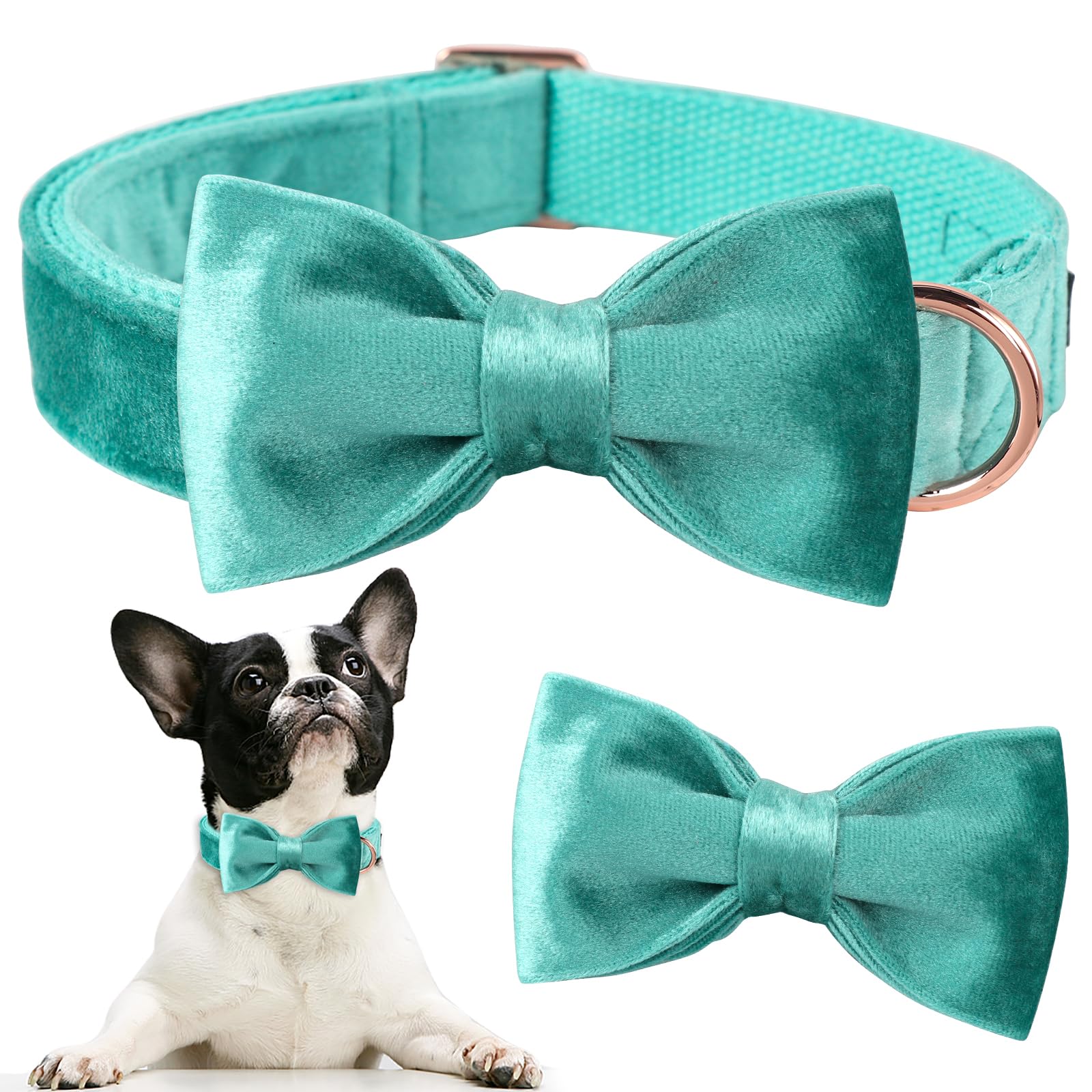 Aring Pet collar presentado en caja regalo lista para sorprender