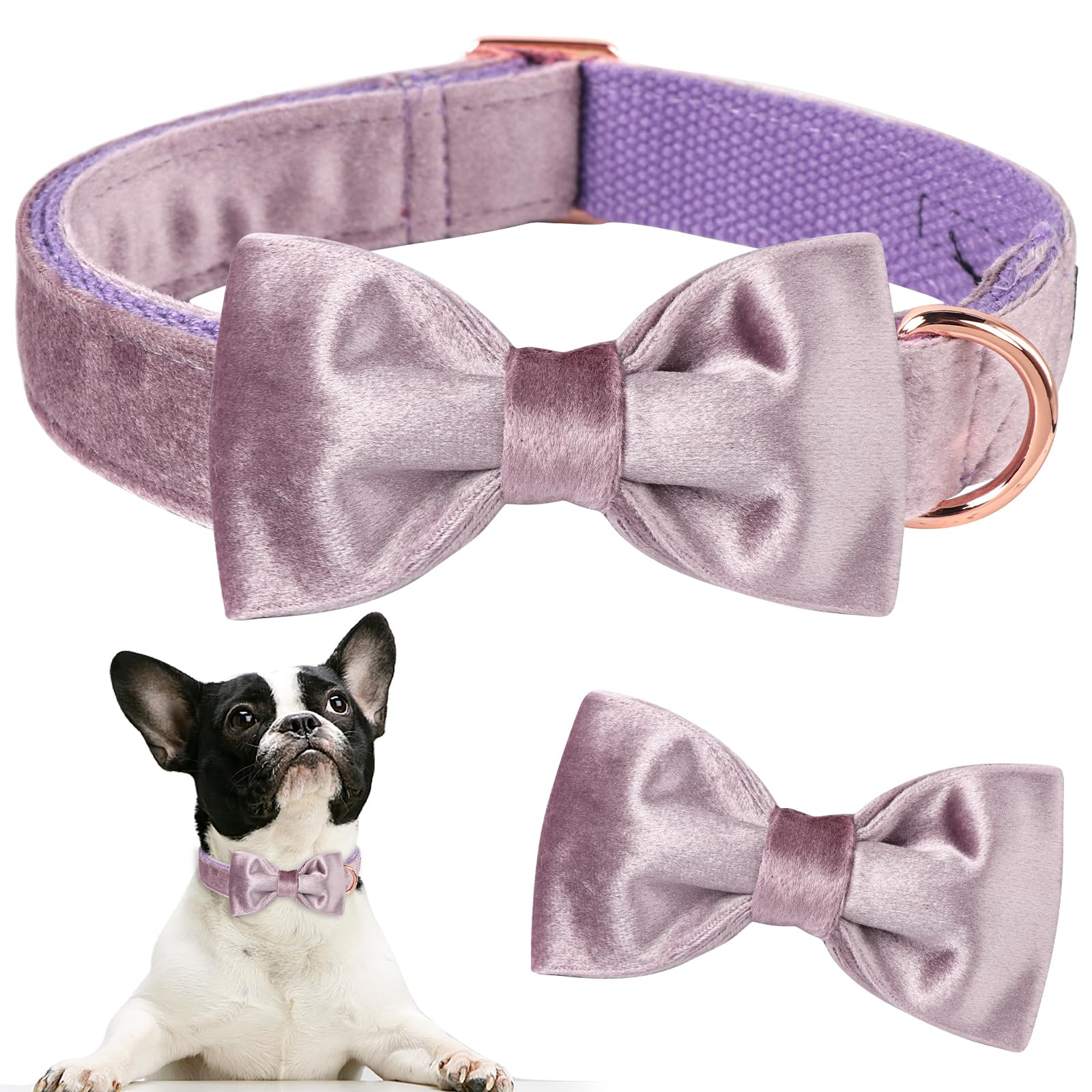 Ajuste cómodo con slider en collar Aring Pet de terciopelo.