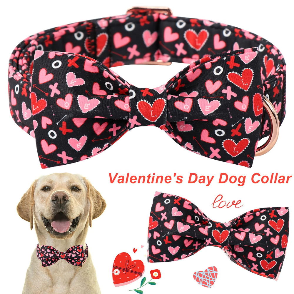 Collar Aring Pet talla XS con ajuste preciso para perros pequeños.