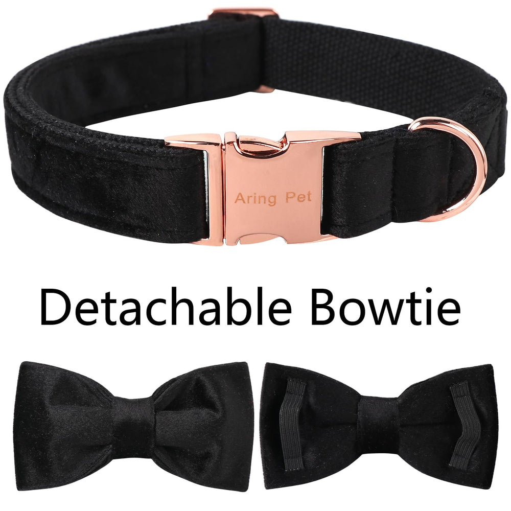 Uso diario del collar ARING PET para fotos y salidas con estilo