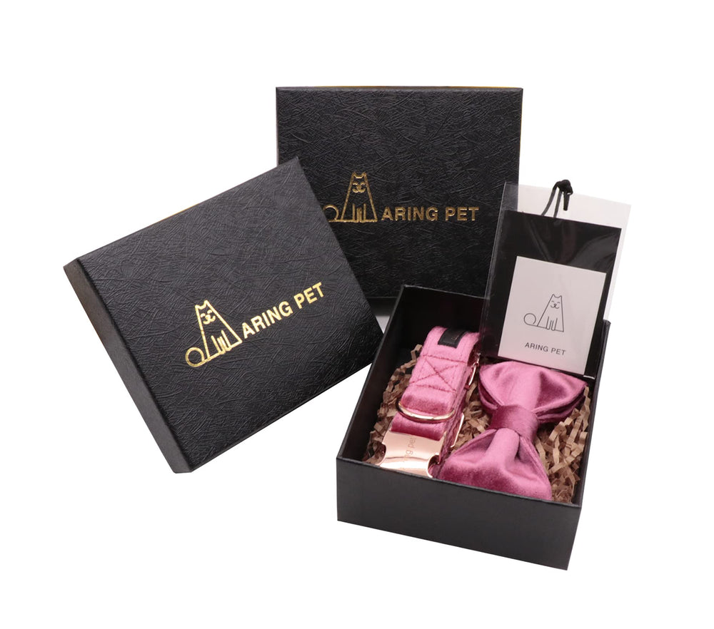 Aring Pet collar uso diario, fotos y eventos con estilo.