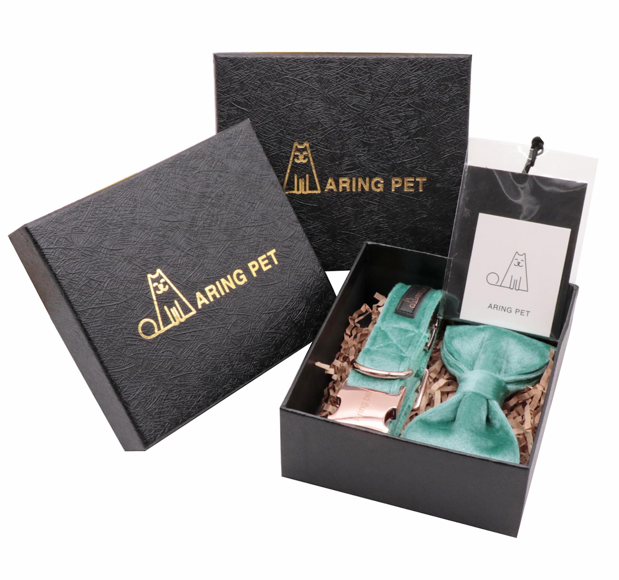 Aring Pet collar añade estilo en sesiones, fiestas y uso diario