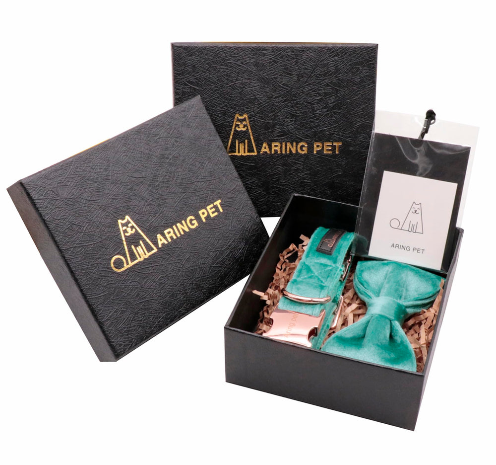 Aring Pet collar añade estilo en sesiones, fiestas y uso diario