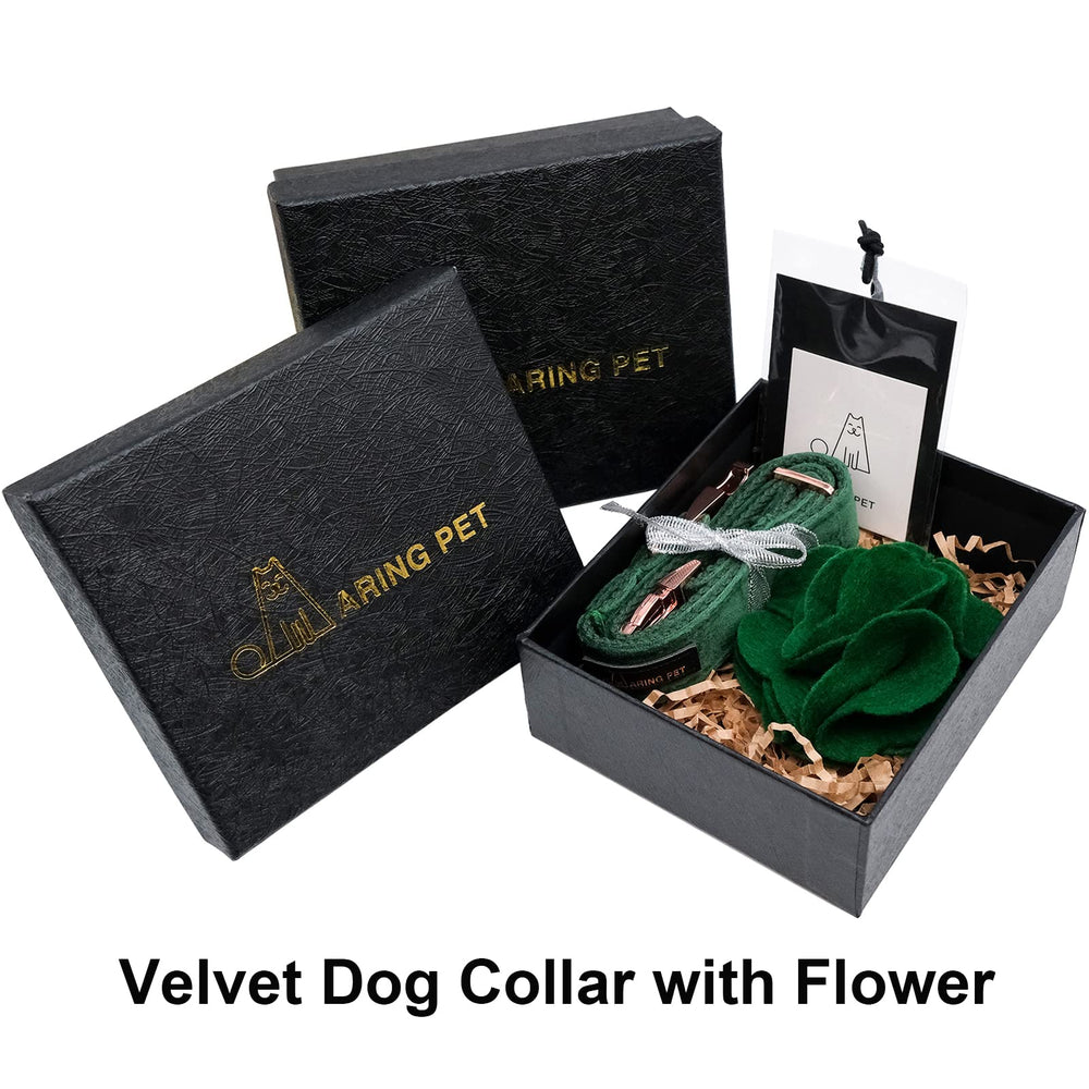 Aring Pet collar para uso diario y ocasiones especiales.