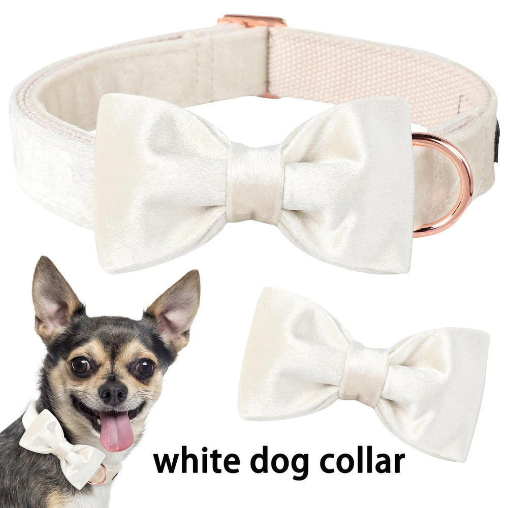 Anilla D-ring metálica del collar Aring Pet Velvet, duradera y segura.