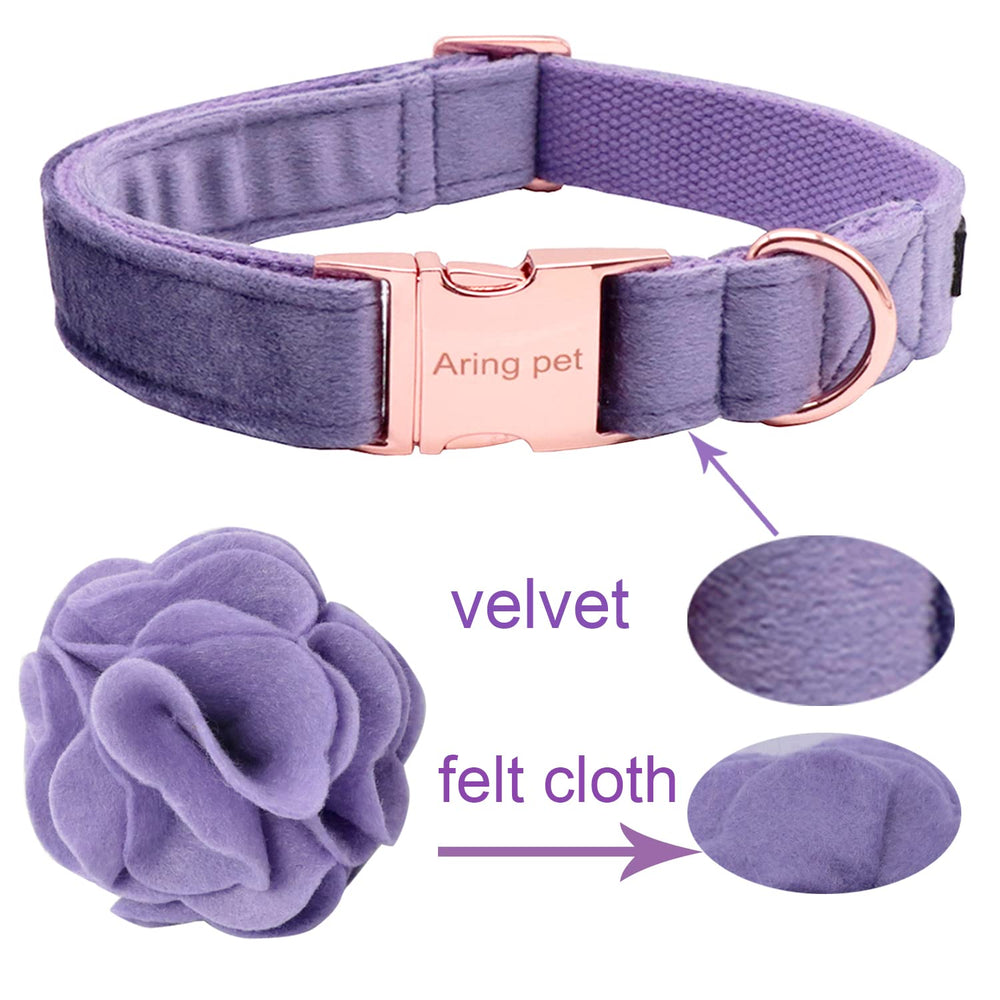 Aring Pet collar velvet morado para uso diario y eventos.