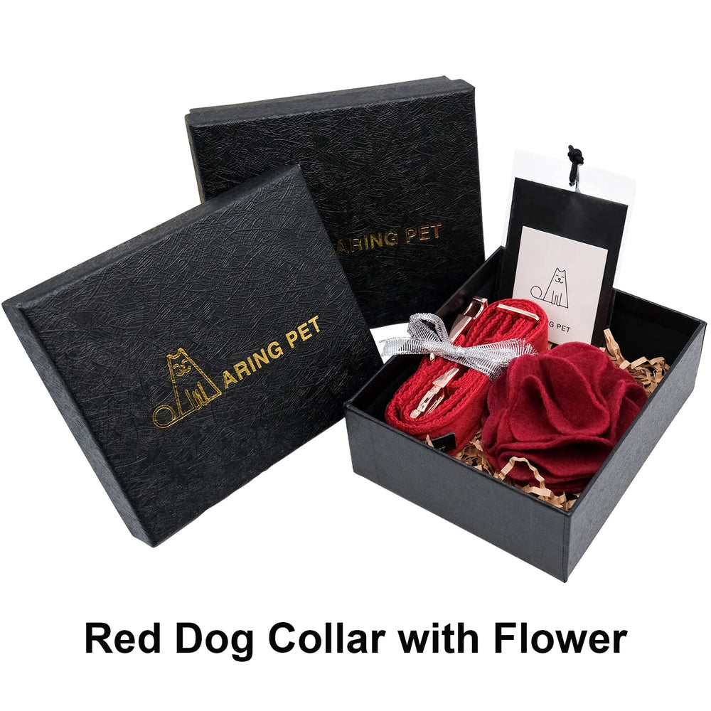 Aring pet collar velvet talla M para perros pequeños, medianos y grandes.