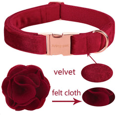 Aring pet collar velvet para uso diario y sesiones de fotos.