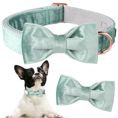 Collar Aring Pet verde presentado en elegante caja regalo.