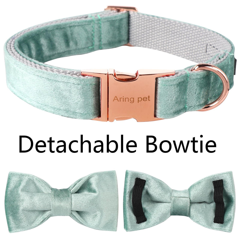 Talle pequeño del collar Aring Pet para razas pequeñas.