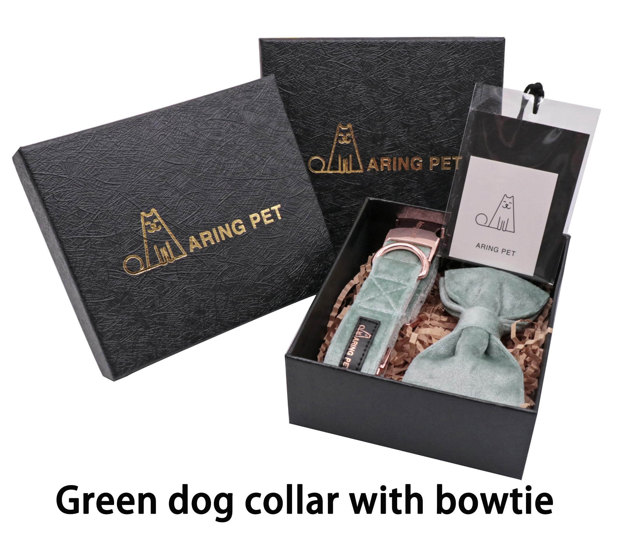 Uso diario y sesiones de fotos con el collar Aring Pet verde.