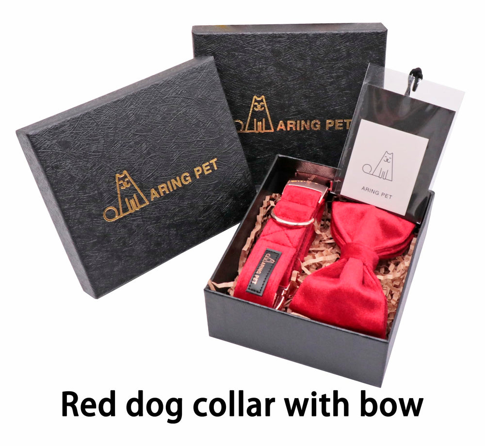 Aring Pet caja regalo, perfecta para regalo estacional.