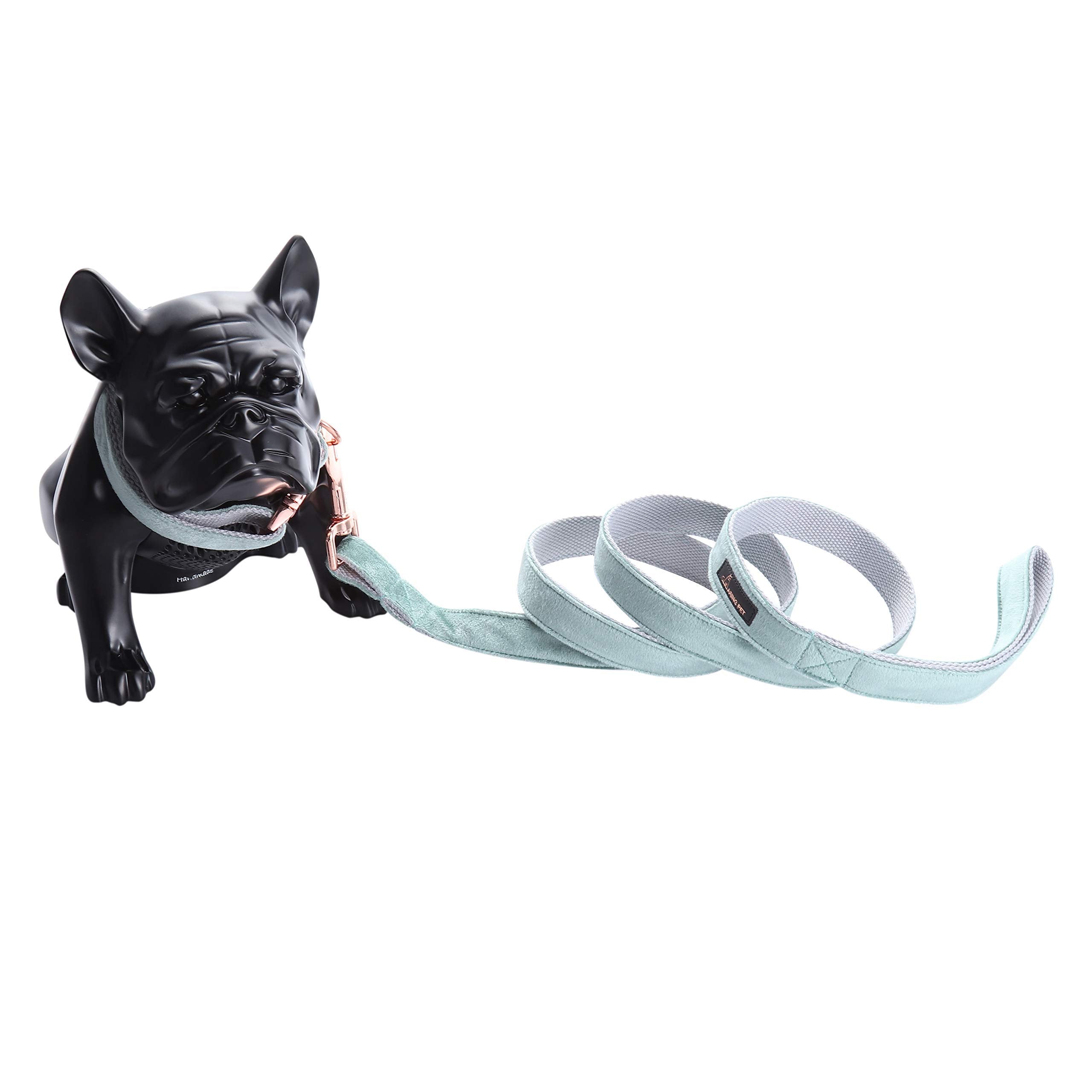 Costuras reforzadas del collar de terciopelo Aring pet para mayor durabilidad