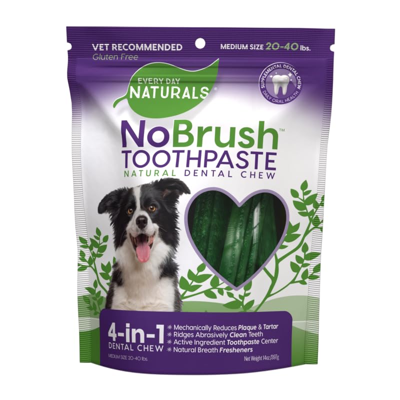 ARK NATURALS Every Day Naturals: empaque del masticable dental para uso diario y frescura bucal.