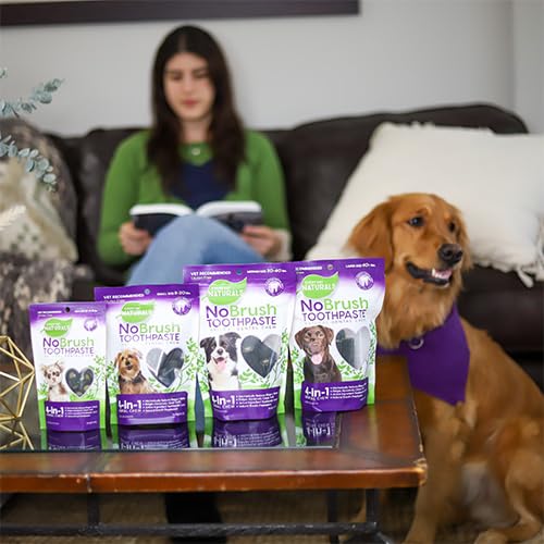 ARK NATURALS Every Day Naturals: masticable sin colorantes para un cuidado dental natural.