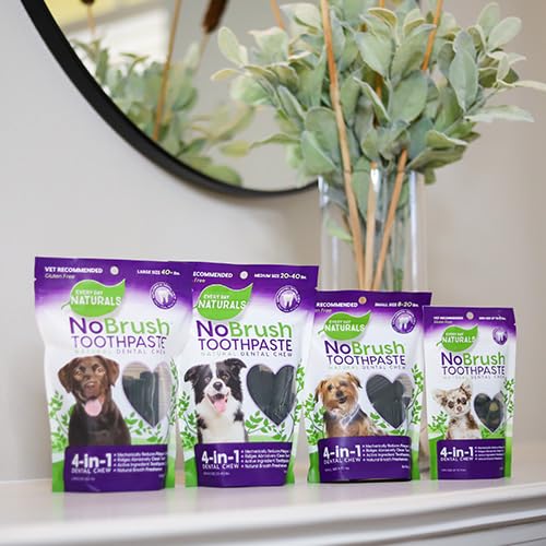 ARK NATURALS Every Day Naturals: uso diario recomendado para fomentar hábitos de cuidado dental.