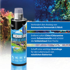 Acuario con agua clara gracias a ARKA XTA16 Xtreme.