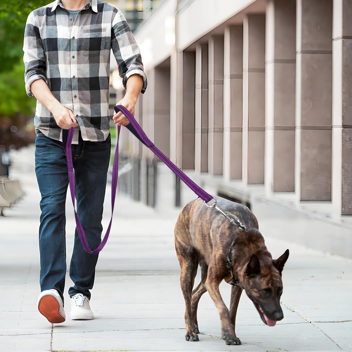 ARLSIM correa de nylon reflectante para perro, alta visibilidad nocturna