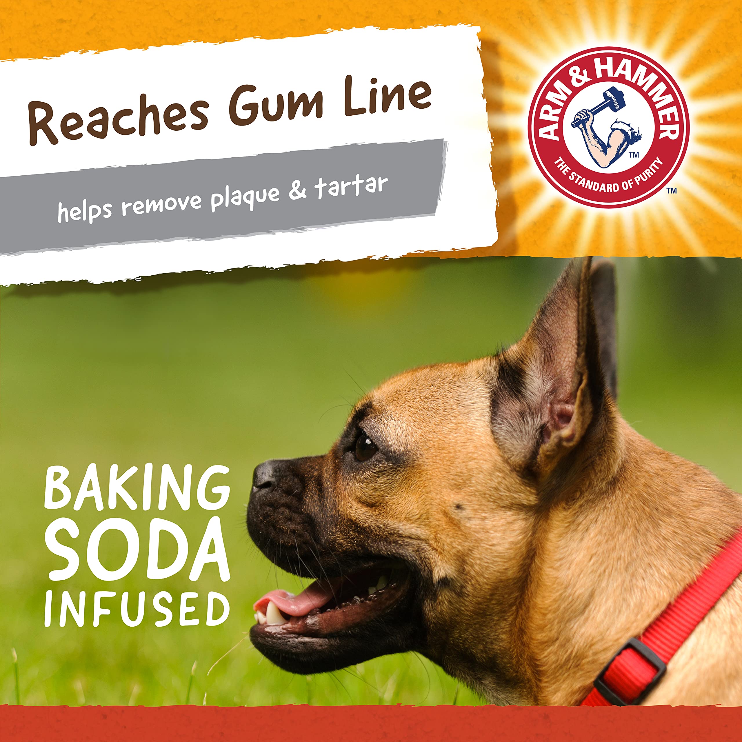 Arm & Hammer Mini Gorila, detalle del caucho natural y durabilidad para masticadores fuertes.