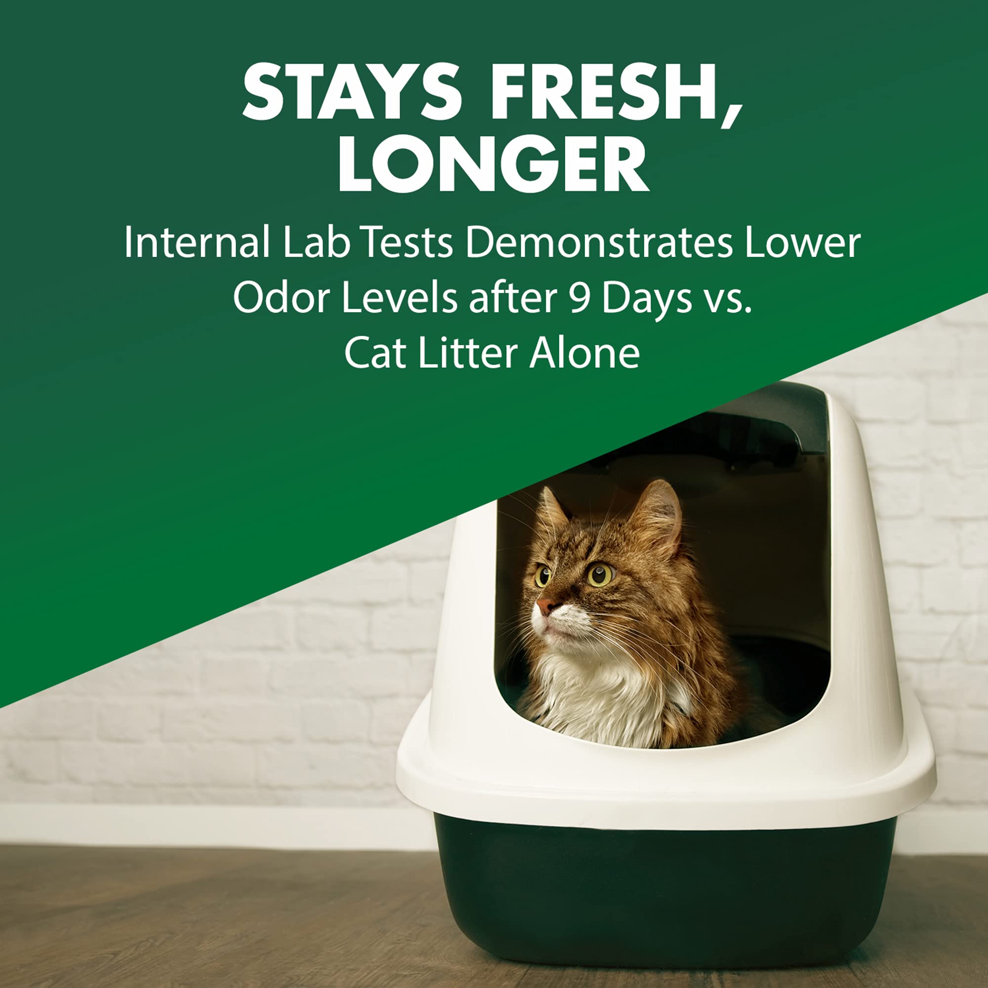 Arm & Hammer uso diario seguro para gatos alrededor de la arena