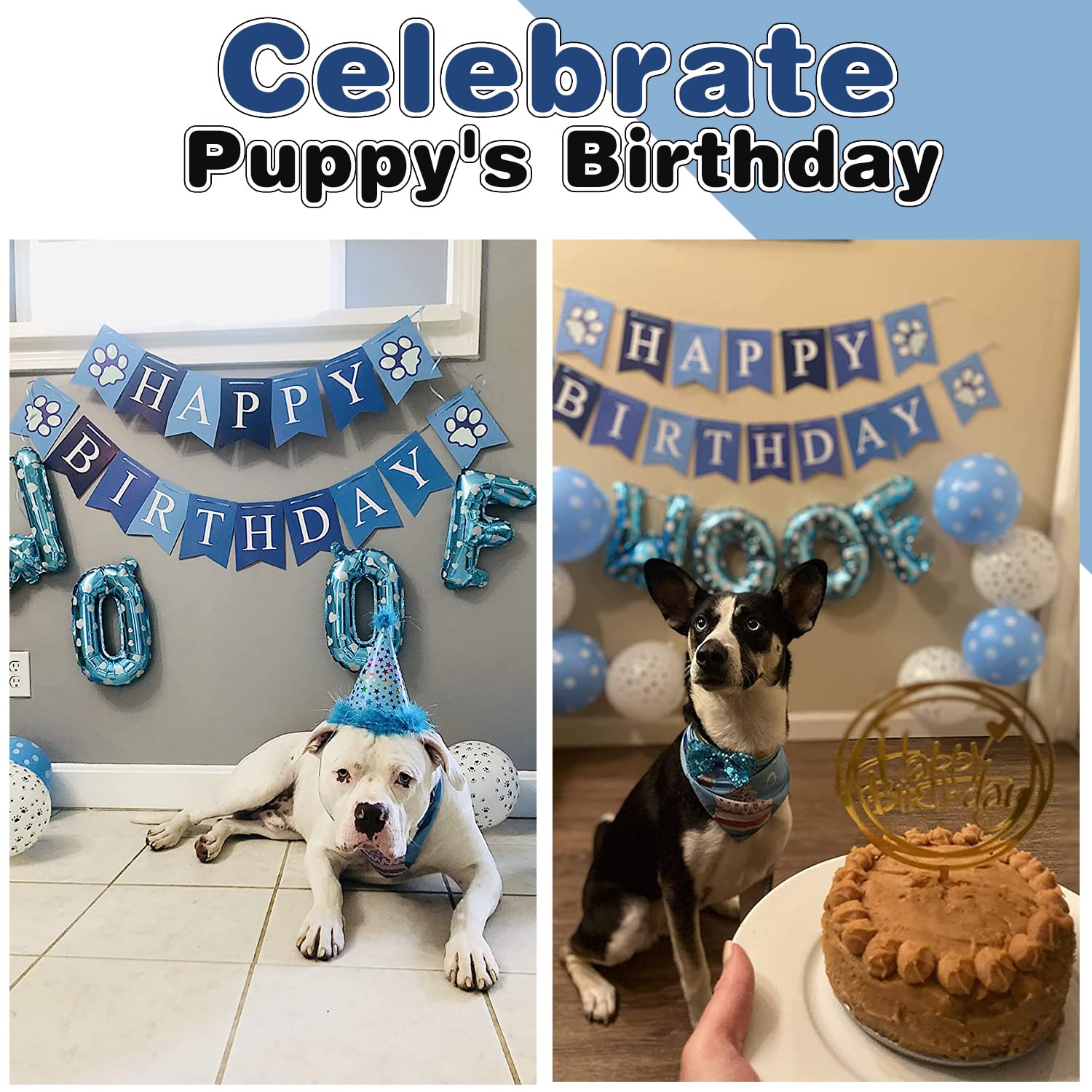 AROIC sombrero de cumpleaños para perro, añade un toque festivo y divertido.
