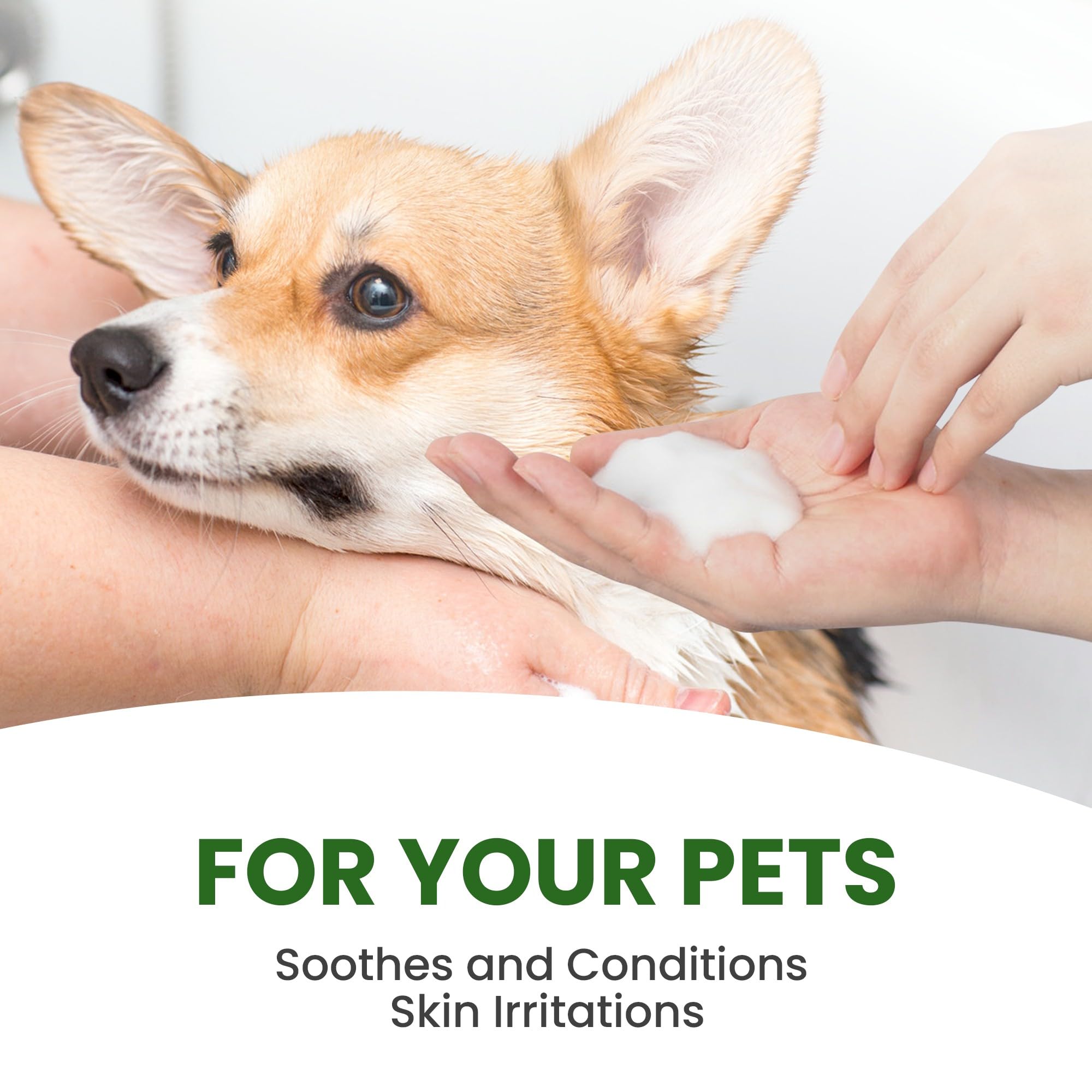 Aroma Paws shampoo, fórmula hipoalergénica, adecuada para piel sensible.