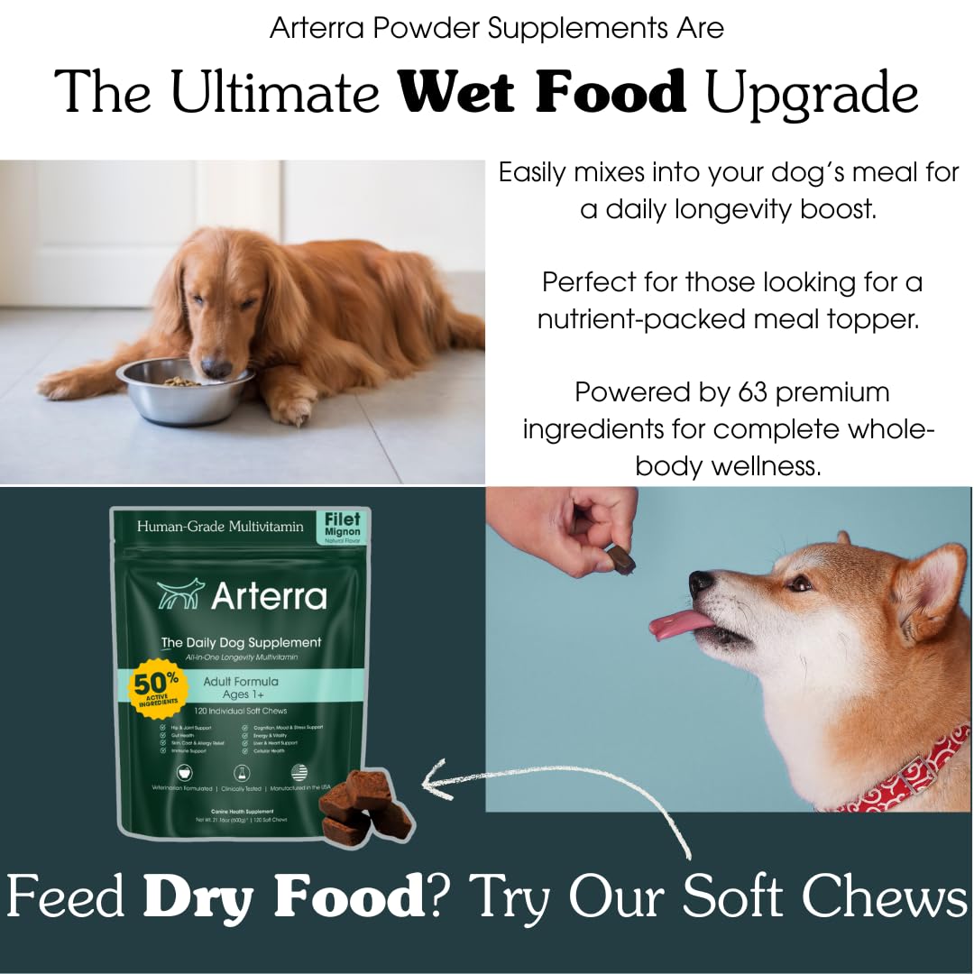 Arterra Senior Dog Powder mejora la salud digestiva y equilibrio intestinal