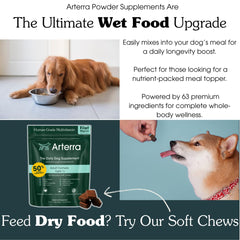 Arterra Senior Dog Powder mejora la salud digestiva y equilibrio intestinal