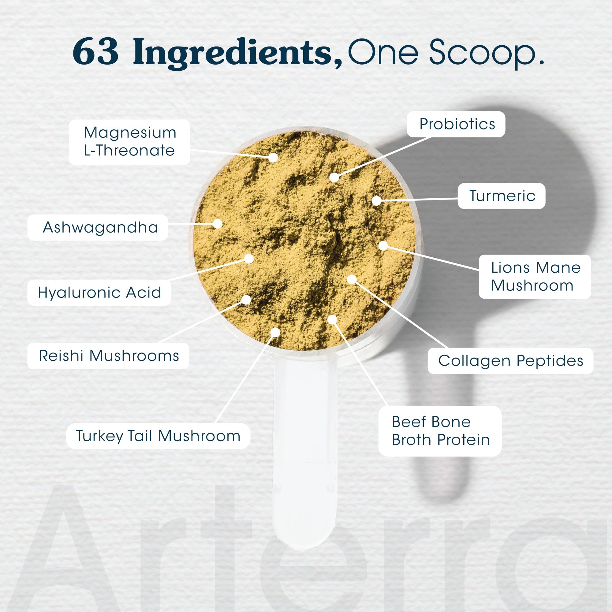 Arterra Senior Dog Powder con omega 3 para piel sana y pelaje brillante