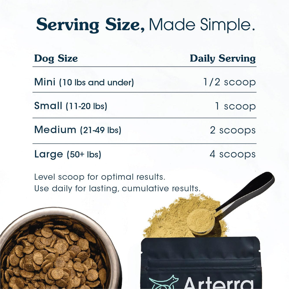 Arterra Senior Dog Powder con probióticos y prebióticos para digestión